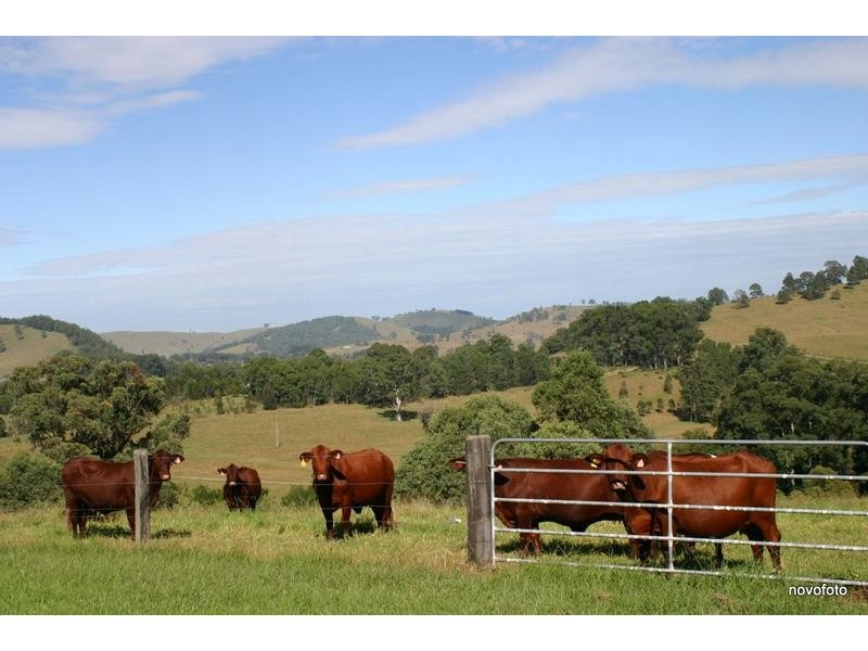 50 Moylans Road, Dungog NSW 2420