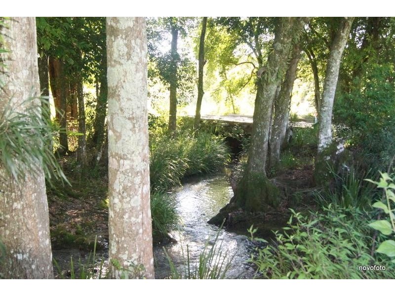 50 Moylans Road, Dungog NSW 2420