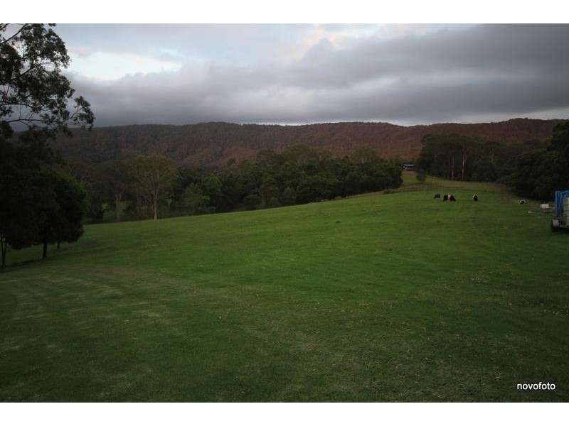50 Moylans Road, Dungog NSW 2420