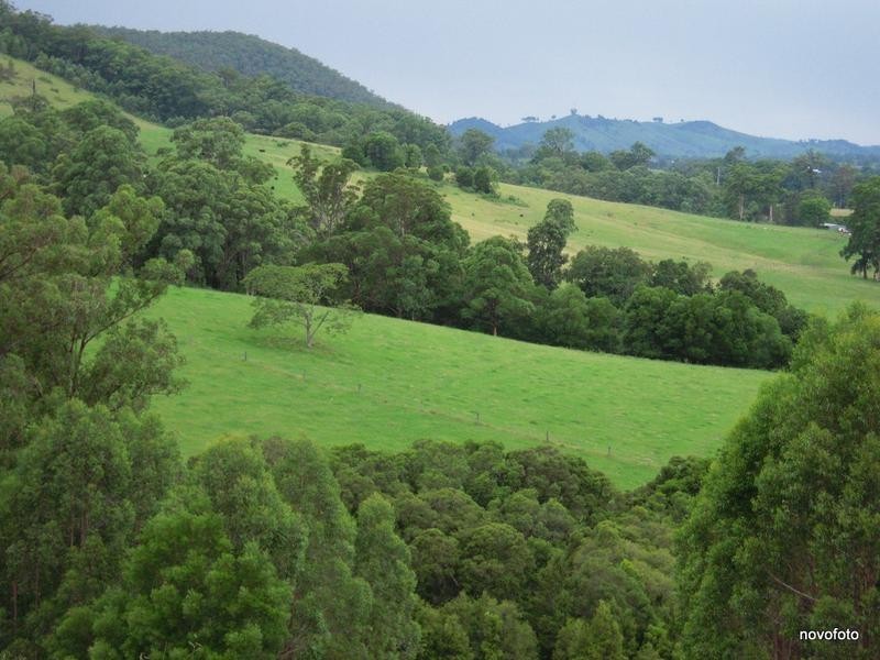 50 Moylans Road, Dungog NSW 2420