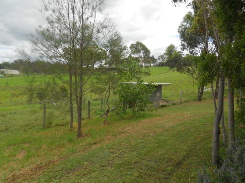 Dungog NSW 2420