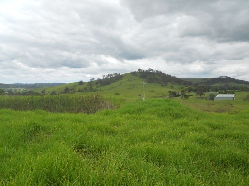 Dungog NSW 2420