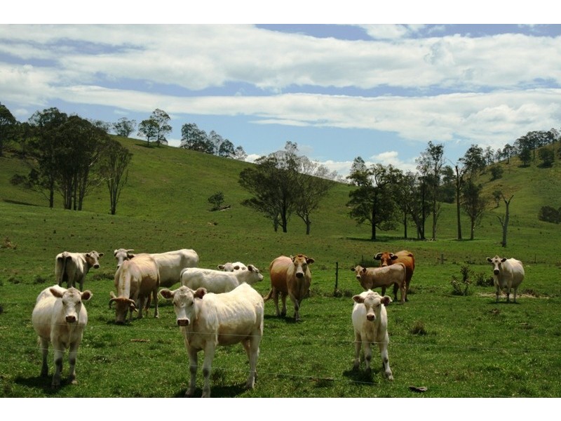 1265 Dungog Road, Dungog NSW 2420