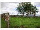 528 Quartpot Creek Road, Underbank NSW 2420
