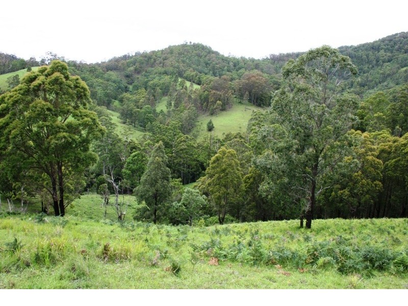 528 Quartpot Creek Road, Underbank NSW 2420