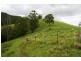 528 Quartpot Creek Road, Underbank NSW 2420