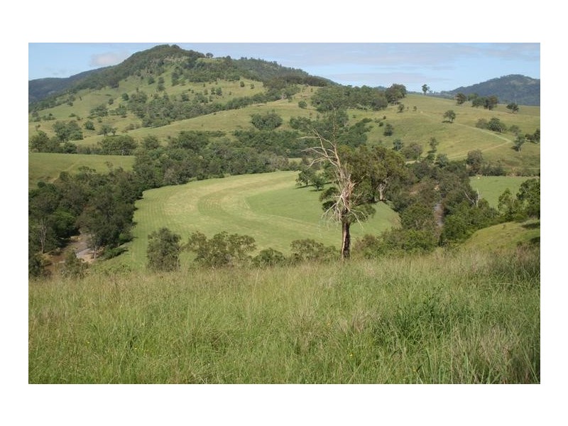 1800 Paterson River Road, Gresford NSW 2311