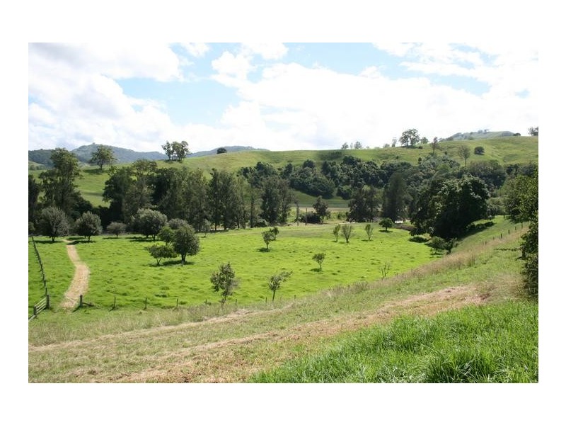 1800 Paterson River Road, Gresford NSW 2311