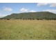 1443 Gresford Road, Vacy NSW 2421