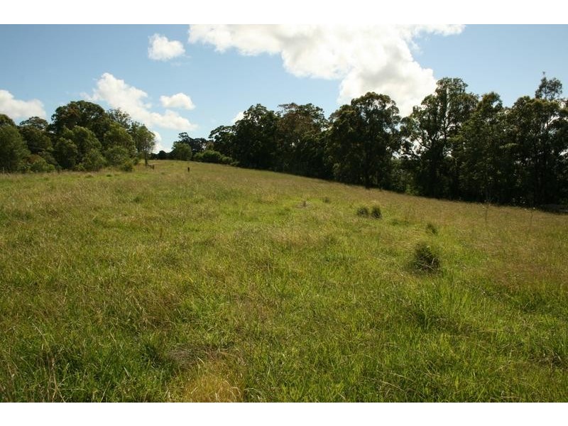 25 Brewers Lane, Dungog NSW 2420