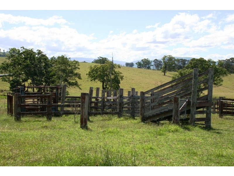 451 Chichester Dam Road, Dungog NSW 2420