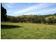 451 Chichester Dam Road, Dungog NSW 2420