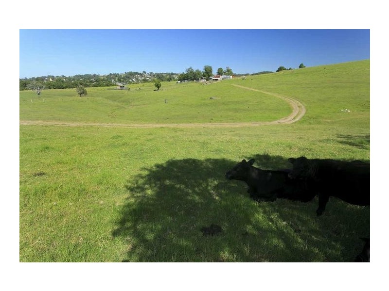 24 Fosterton Road, Dungog NSW 2420