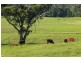 1160 Limeburners Creek Road, Clarence Town NSW 2321