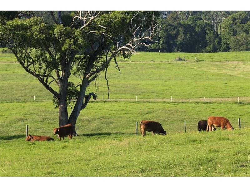 1160 Limeburners Creek Road, Clarence Town NSW 2321
