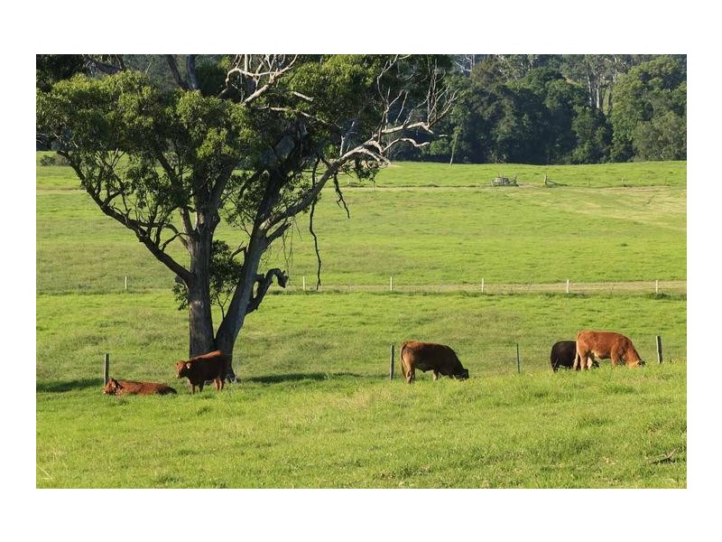 1160 Limeburners Creek Road, Clarence Town NSW 2321