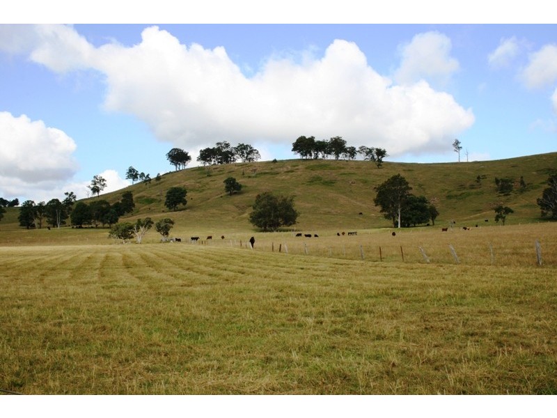 Lot 130 Salisbury Road, Dungog NSW 2420