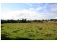 182 Salisbury Road, Dungog NSW 2420
