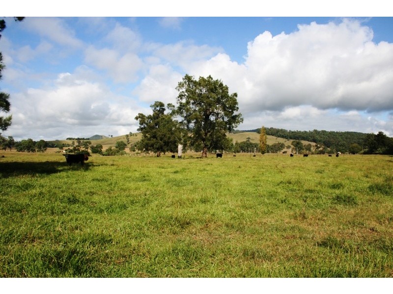182 Salisbury Road, Dungog NSW 2420