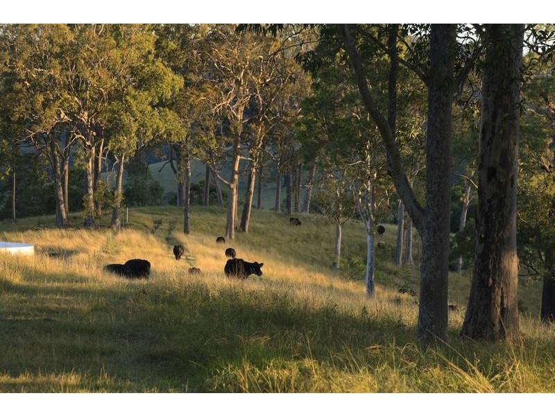 4515 Clarence Town Road, Dungog NSW 2420