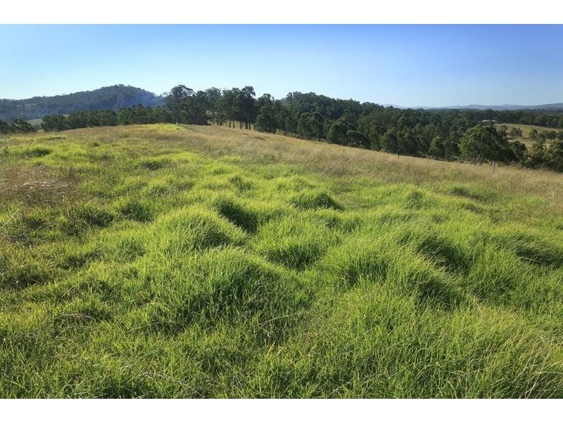 4515 Clarence Town Road, Dungog NSW 2420