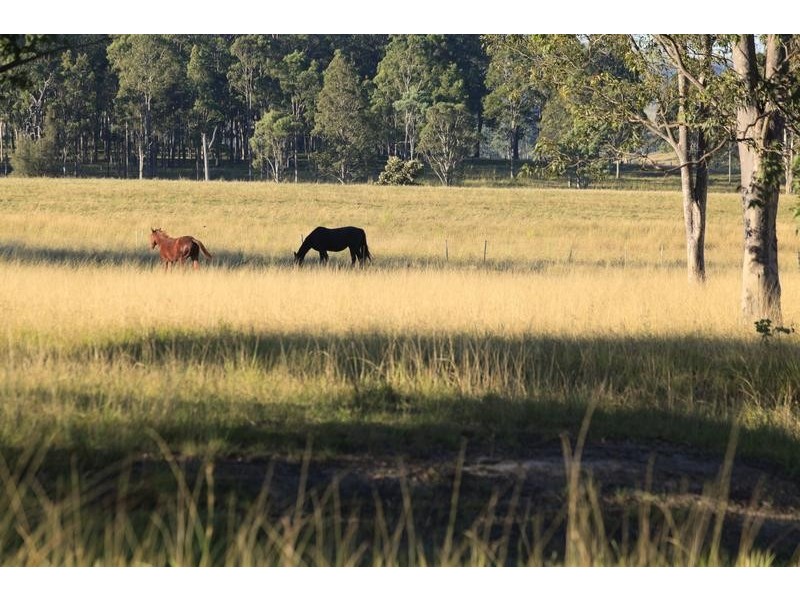 4515 Clarence Town Road, Dungog NSW 2420