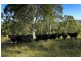 4515 Clarence Town Road, Dungog NSW 2420