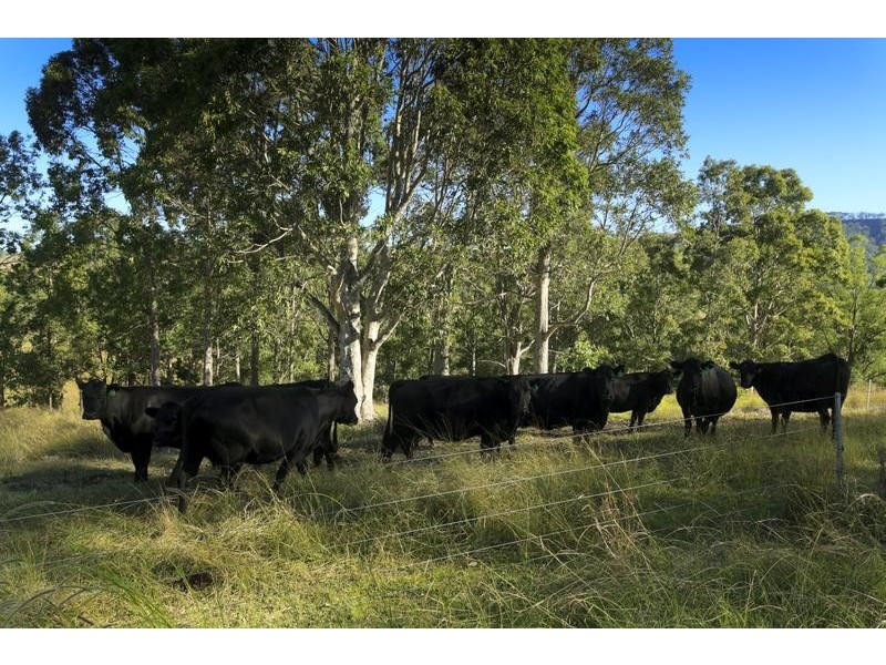 4515 Clarence Town Road, Dungog NSW 2420