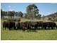 4515 Clarence Town Road, Dungog NSW 2420