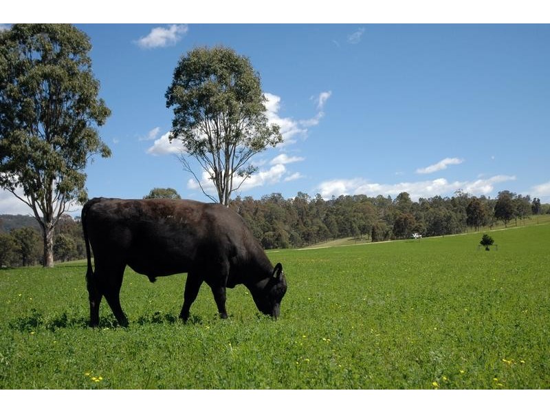 4515 Clarence Town Road, Dungog NSW 2420