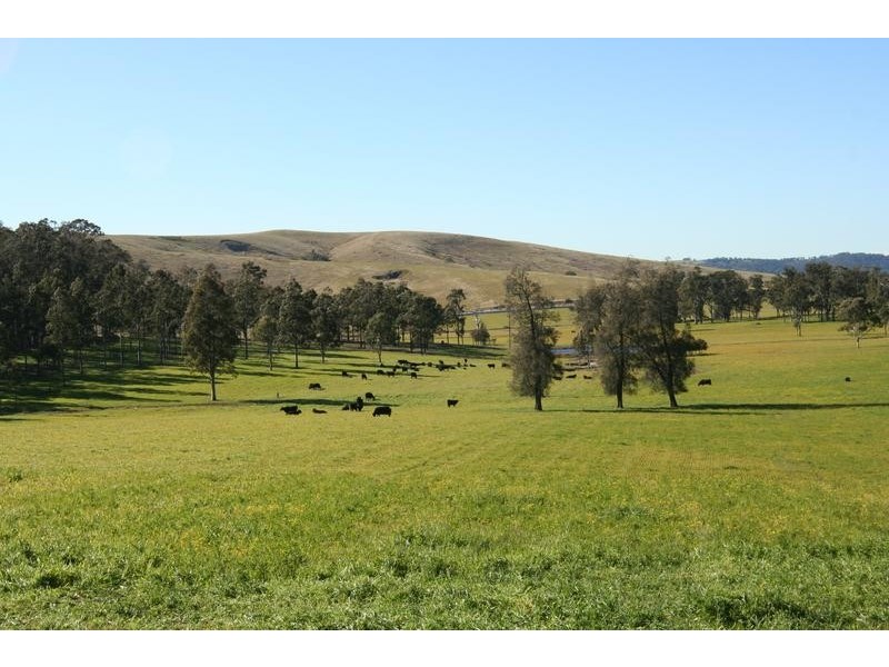 4515 Clarence Town Road, Dungog NSW 2420