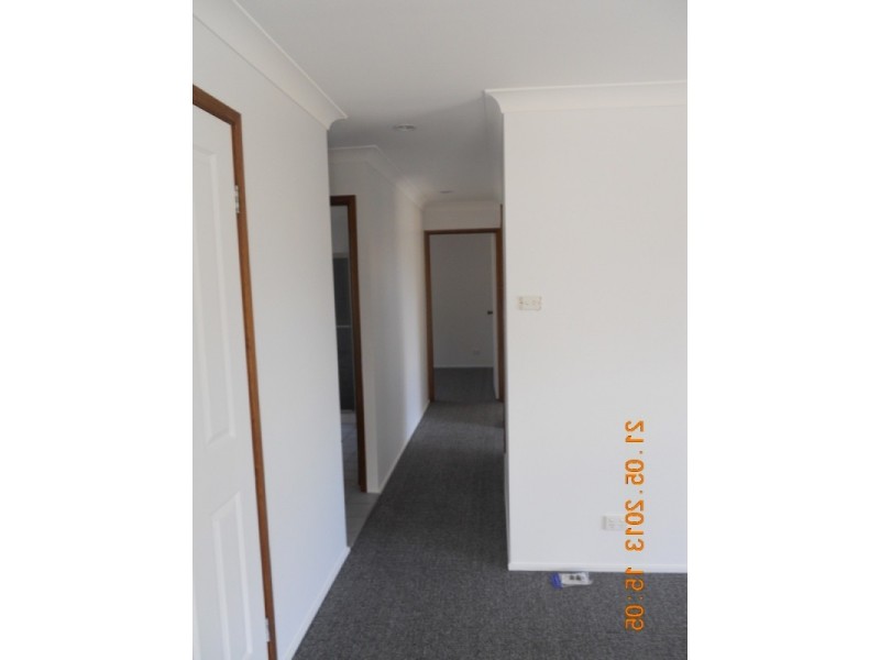 Dungog NSW 2420