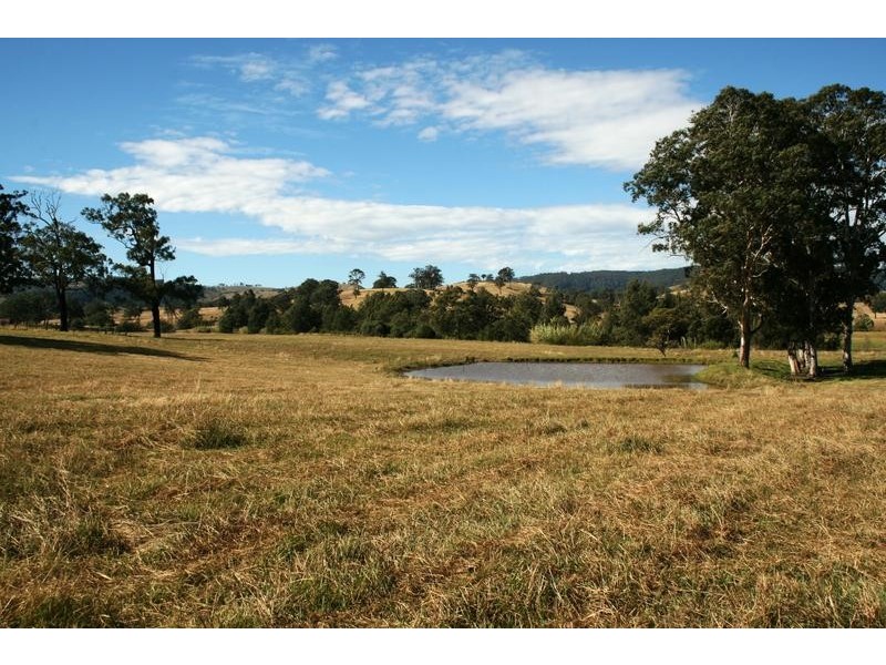 136 Clements Road, East Gresford NSW 2311