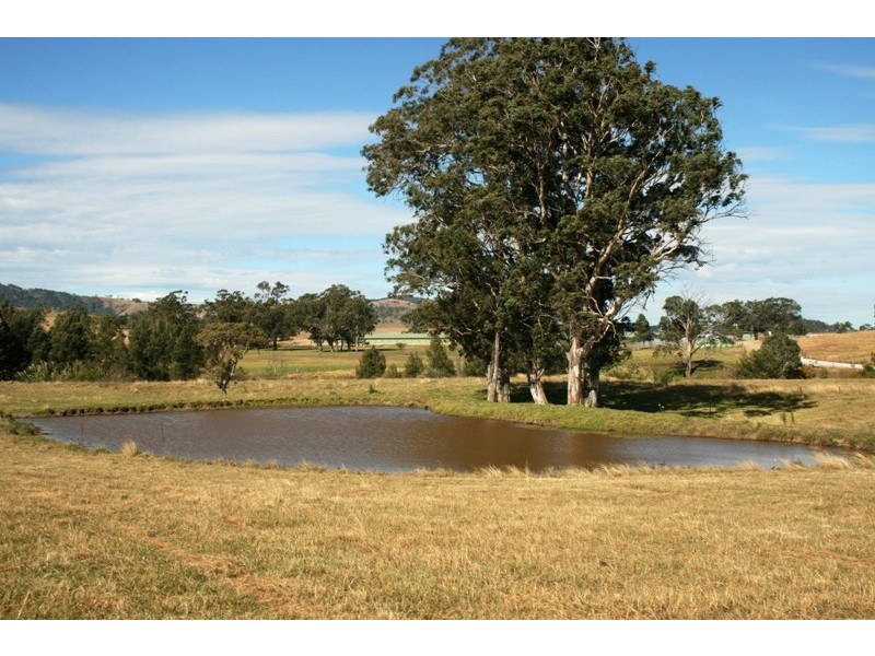 136 Clements Road, East Gresford NSW 2311