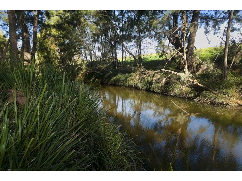 555 Fishers Hill Road, Vacy NSW 2421
