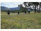 555 Fishers Hill Road, Vacy NSW 2421