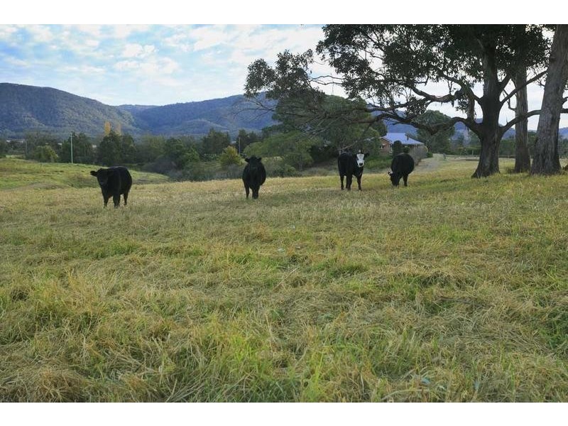 555 Fishers Hill Road, Vacy NSW 2421