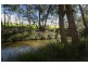 555 Fishers Hill Road, Vacy NSW 2421