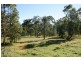 342 Monkerai Road, Dungog NSW 2420