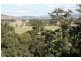 342 Monkerai Road, Dungog NSW 2420