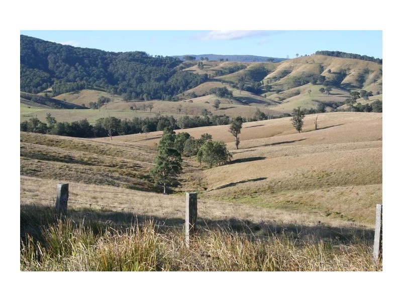 76 Chichester Road, Dungog NSW 2420