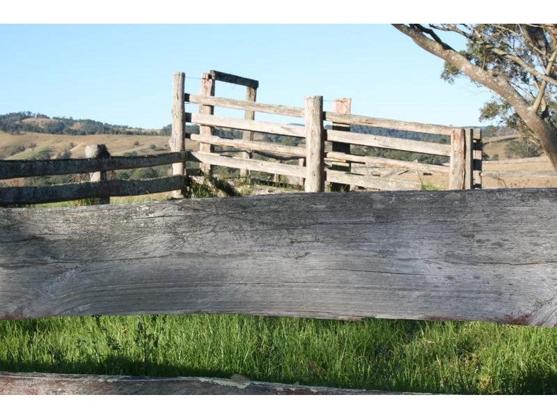 76 Chichester Road, Dungog NSW 2420