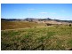 1620 Bingleburra Road, East Gresford NSW 2311
