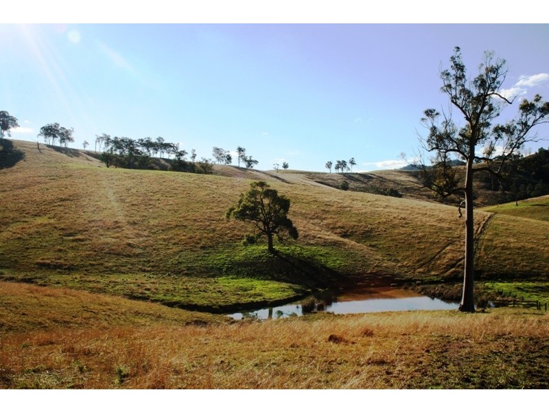 1620 Bingleburra Road, East Gresford NSW 2311