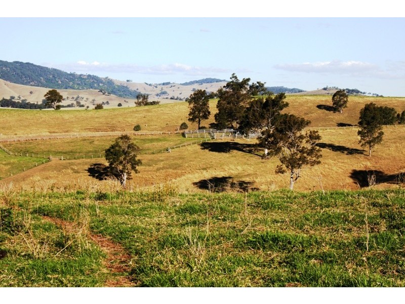 1620 Bingleburra Road, East Gresford NSW 2311