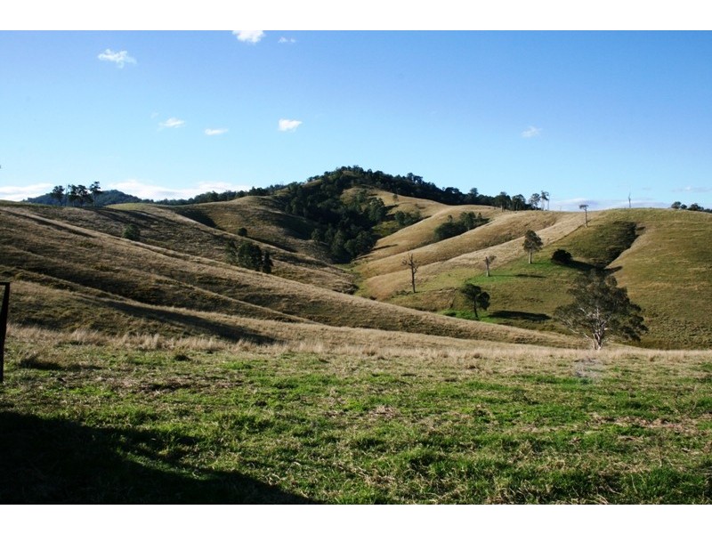 1620 Bingleburra Road, East Gresford NSW 2311