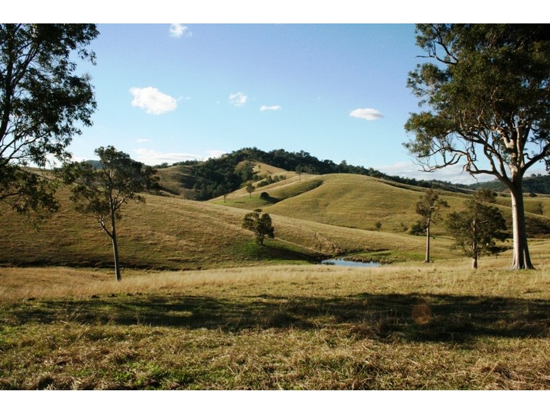 1620 Bingleburra Road, East Gresford NSW 2311