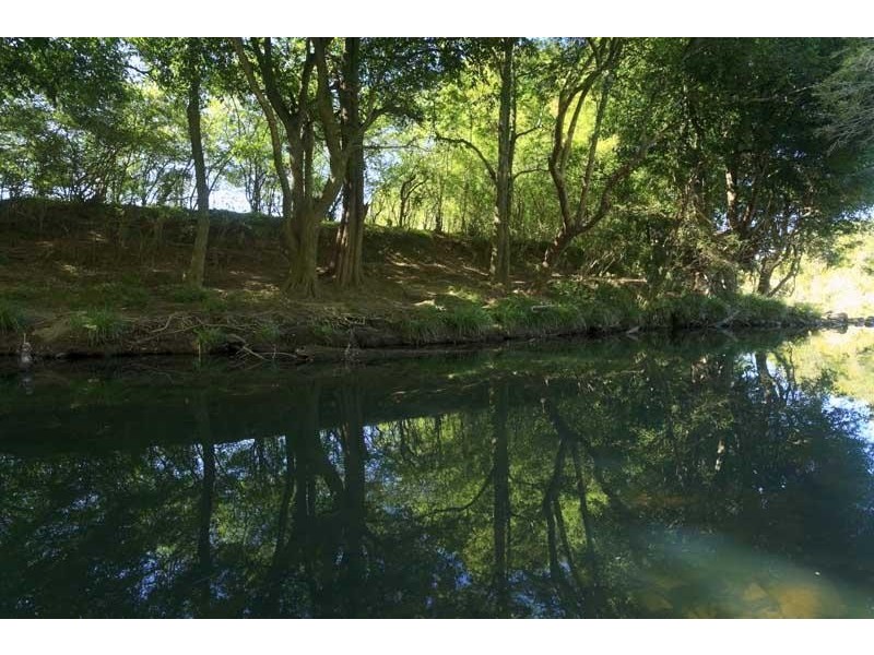 43 Fosterton Road, Dungog NSW 2420