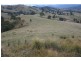 121 Quartpot Creek Road, Dungog NSW 2420