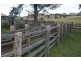 121 Quartpot Creek Road, Dungog NSW 2420